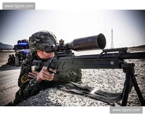 风暴英雄副T角色深度解析：策略、优势与战术运用全方位剖析